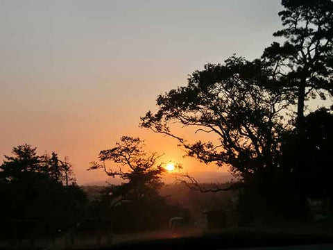 Sunset - West From One Tree Hill