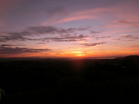 Sunset From Top of One Tree Hill